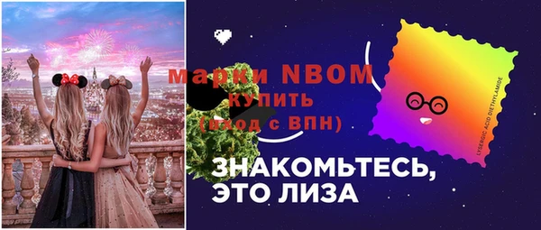 дмт Ряжск
