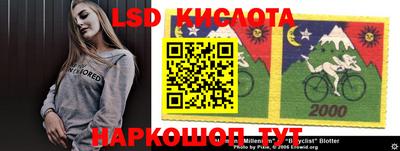 стафф Заводоуковск
