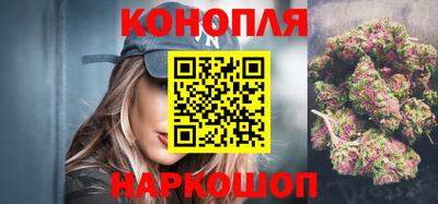 стафф Заводоуковск