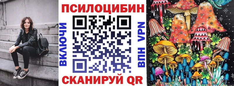 Псилоцибиновые грибы Cubensis  Строитель 