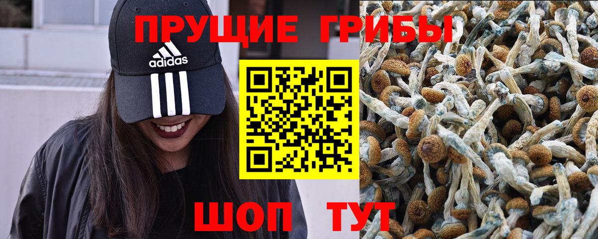 Псилоцибиновые грибы мухоморы Строитель