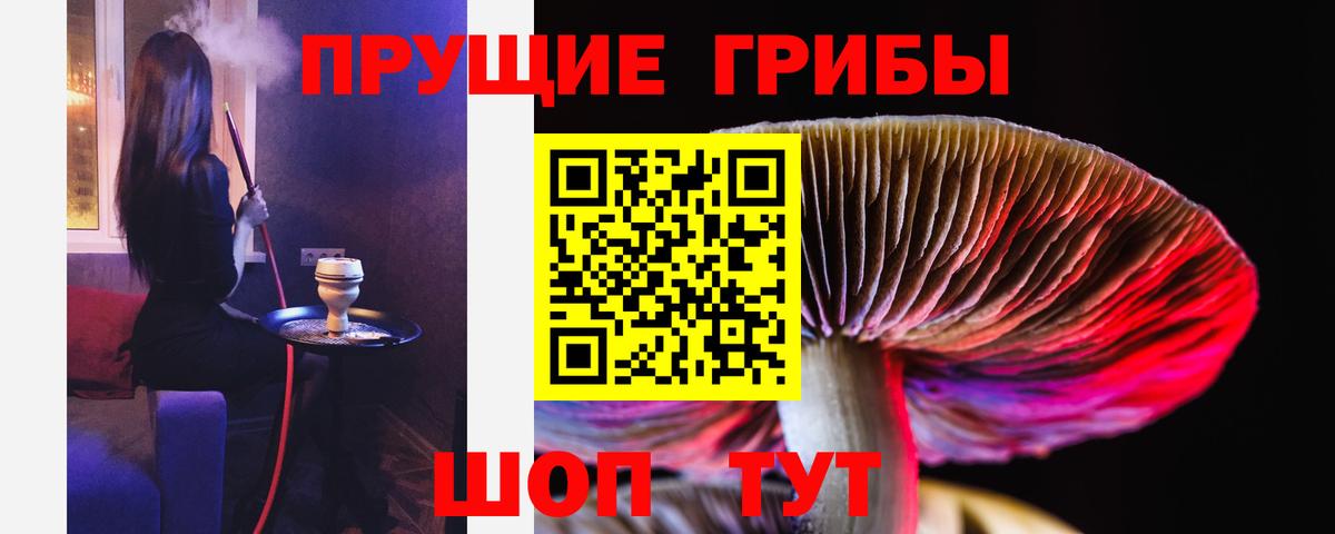 Строитель  Галлюциногенные грибы Psilocybe  Вход с VPN 
