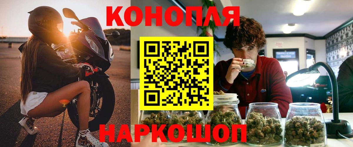 Шишки марихуана план  Бошки марихуана конопля  Строитель  Вход с VPN 